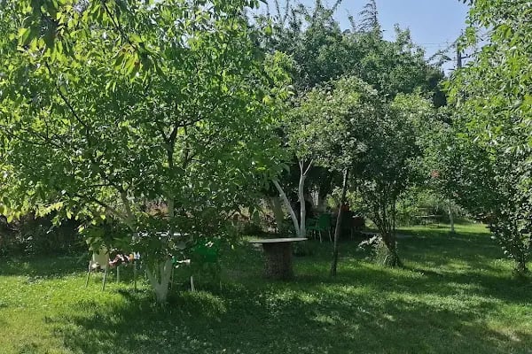 Cevizaltı Kahvaltı - Resim 6