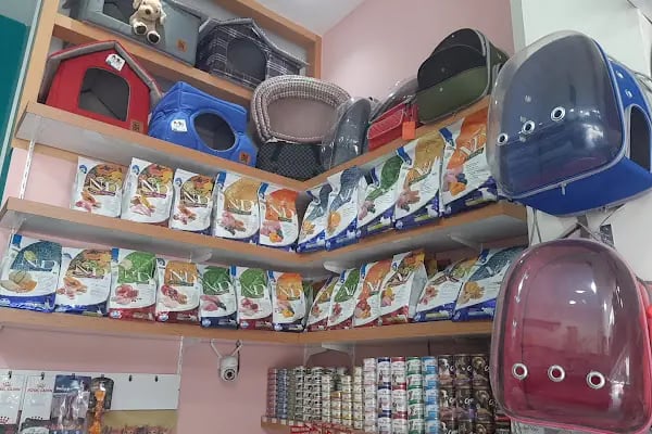 Alanya Petshop 777 - Resim 17