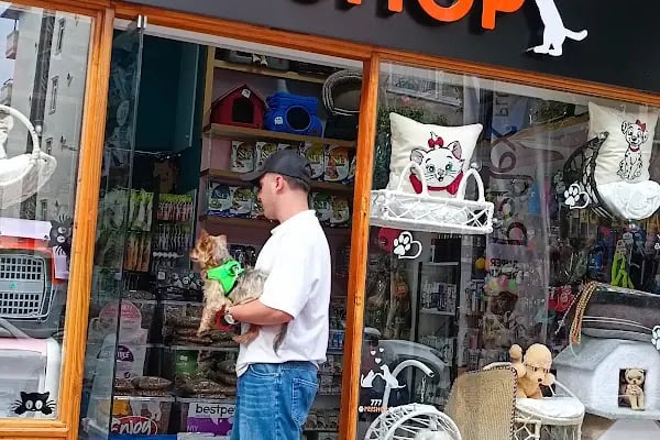 Alanya Petshop 777 - Resim 19