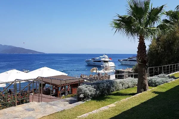 Acrapol Evleri - Resim 15