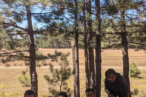 Şerife Bacı Parkı - Resim 15