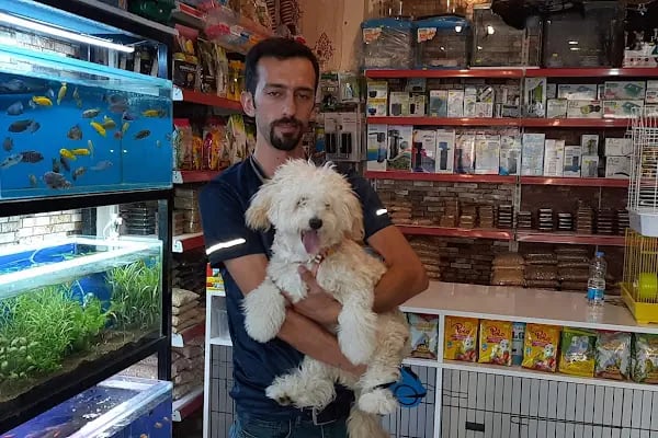 Yakamoz Pet Kuafor gaziantep pet shop - Resim 11