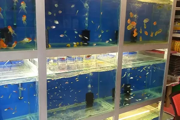 Yakamoz Pet Kuafor gaziantep pet shop - Resim 6
