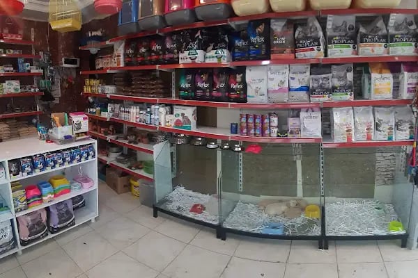 Yakamoz Pet Kuafor gaziantep pet shop - Resim 15
