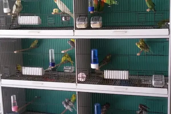 Yakamoz Pet Kuafor gaziantep pet shop - Resim 14