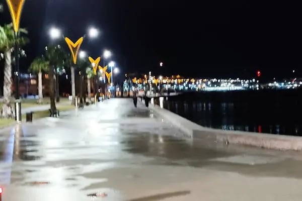 MUSTAFA KEMAL ATATÜRK PARKI - Resim 2