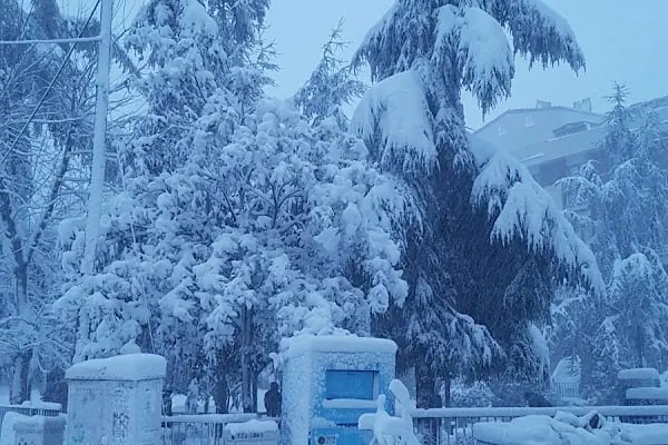 Gültepe Parkı - Resim 13
