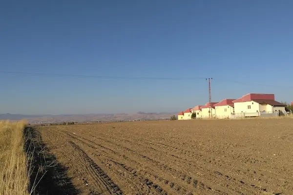 Özyeşilbağ Kooperatifi - Resim 3