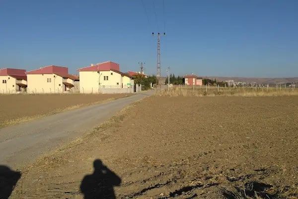 Özyeşilbağ Kooperatifi - Resim 1