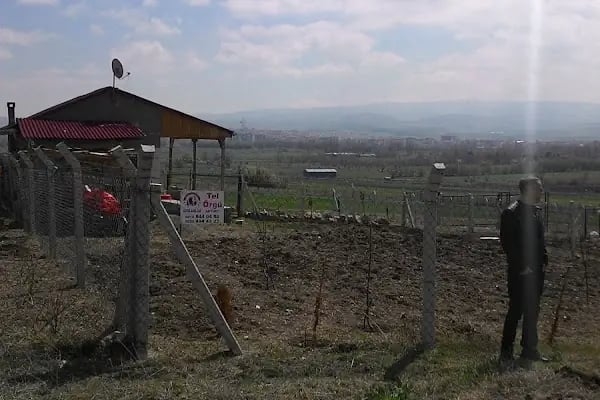 Özyeşilbağ Kooperatifi - Resim 4