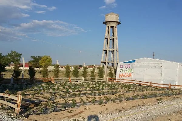 El Ele Organik Solucan Gübresi Üretim Tesisi - Resim 10