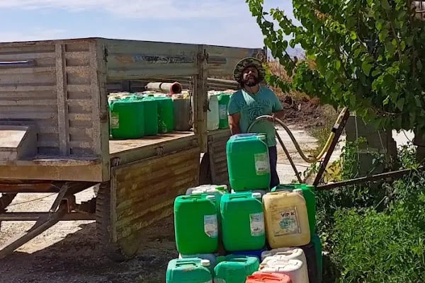 El Ele Organik Solucan Gübresi Üretim Tesisi - Resim 16