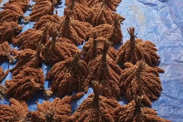 El Ele Organik Solucan Gübresi Üretim Tesisi - Resim 18