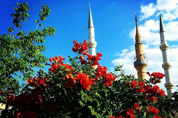 Ketenli Büyük Cami - Resim 4