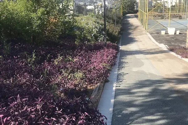 Bodrum Belediyesi Umurça Parkı - Resim 6