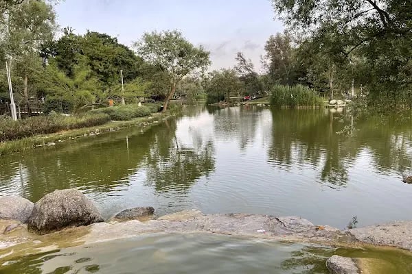 Bahçeşehir Gölet Parkı - Resim 7