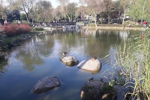 Bahçeşehir Gölet Parkı - Resim 6