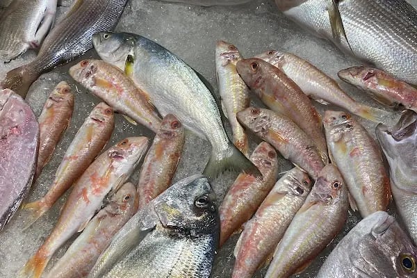 Aquarium Balık Restaurant - Resim 18
