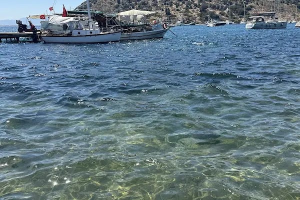 Aquarium Balık Restaurant - Resim 4
