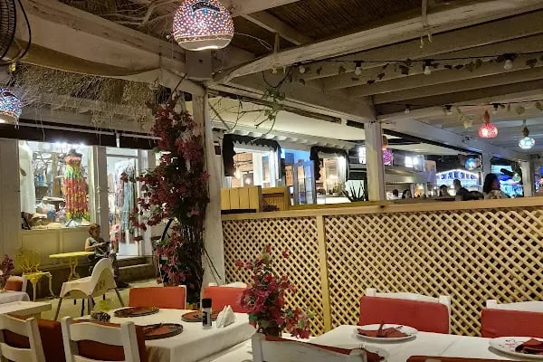 Aquarium Balık Restaurant - Resim 2