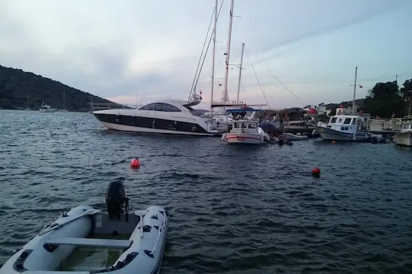 Aquarium Balık Restaurant - Resim 8