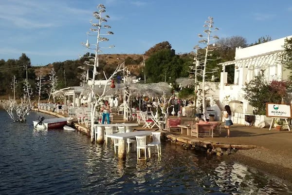 Aquarium Balık Restaurant - Resim 16