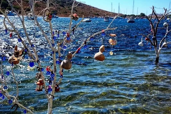 Aquarium Balık Restaurant - Resim 11