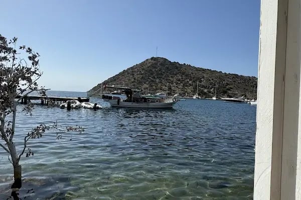 Aquarium Balık Restaurant - Resim 9