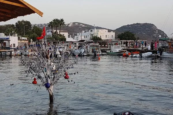Aquarium Balık Restaurant - Resim 12