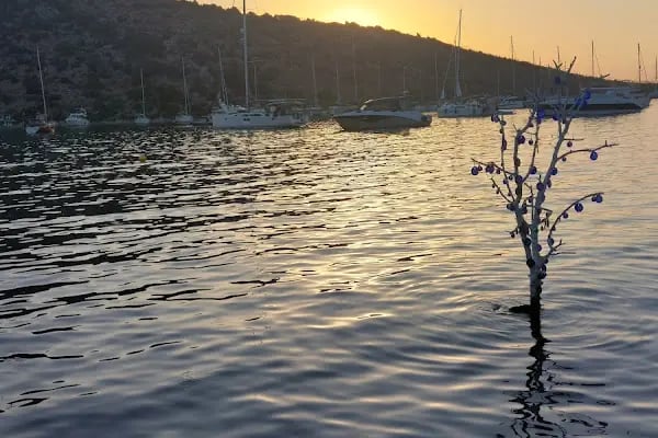 Aquarium Balık Restaurant - Resim 13