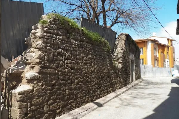 Aya Dimitri Sarmaşık - Resim 4