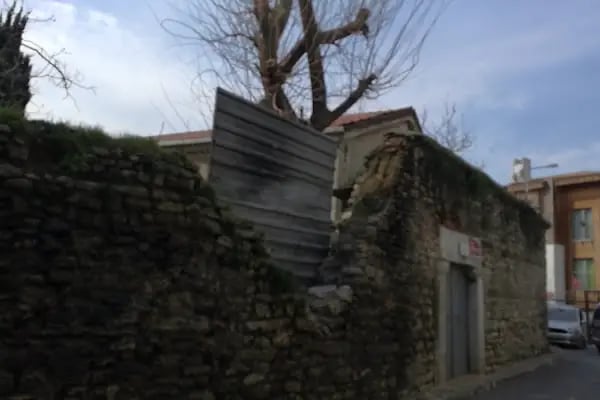 Aya Dimitri Sarmaşık - Resim 12