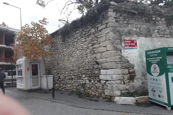 Aya Dimitri Sarmaşık - Resim 15