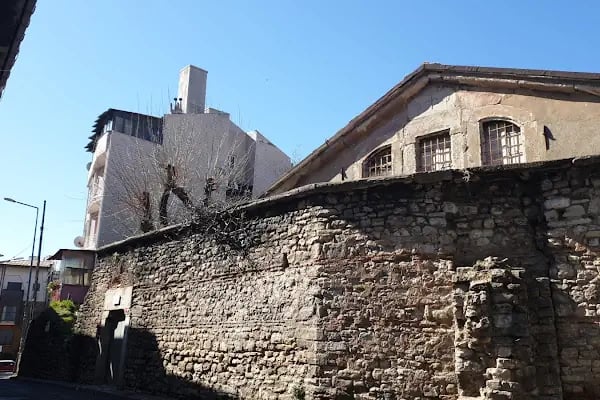 Aya Dimitri Sarmaşık - Resim 2