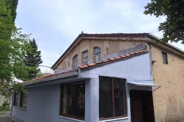Aya Dimitri Sarmaşık - Resim 9