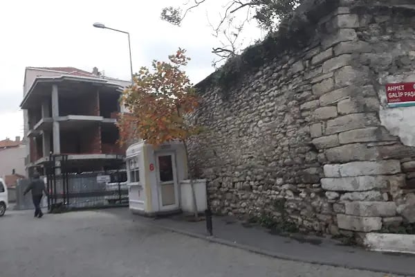 Aya Dimitri Sarmaşık - Resim 8