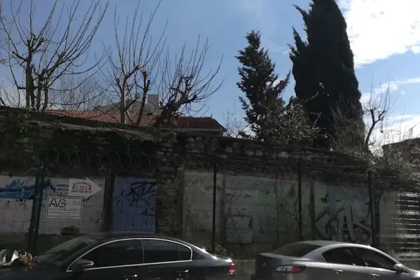 Aya Dimitri Sarmaşık - Resim 19
