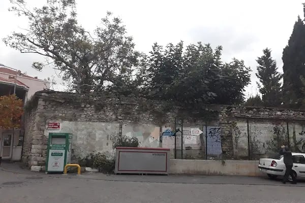 Aya Dimitri Sarmaşık - Resim 6
