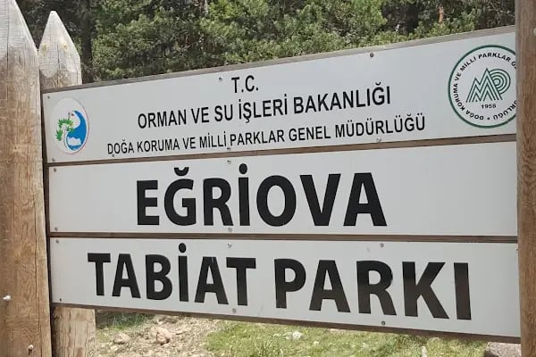 Eğriova Yaylası - Resim 9