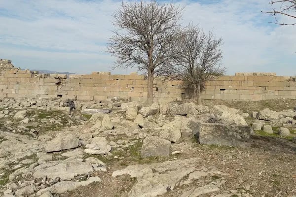 Zeus Sunağı - Resim 18
