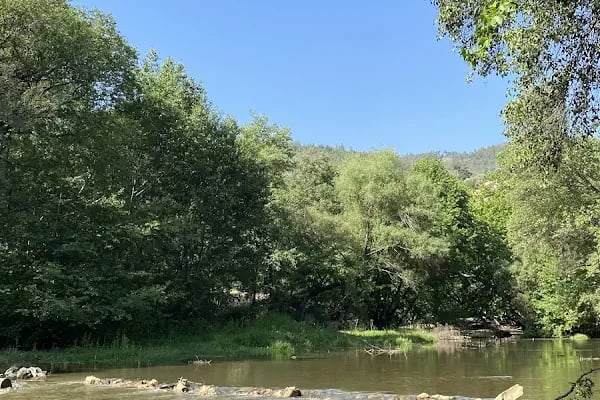 Reis'in Yeri Aile Balık Restoran - Resim 10