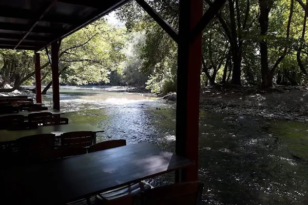 Reis'in Yeri Aile Balık Restoran - Resim 16