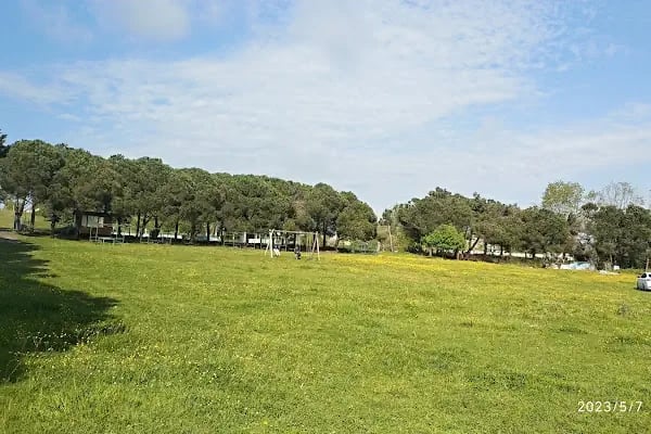 ACAR AIRPORT HOTEL PLUS - Resim 15