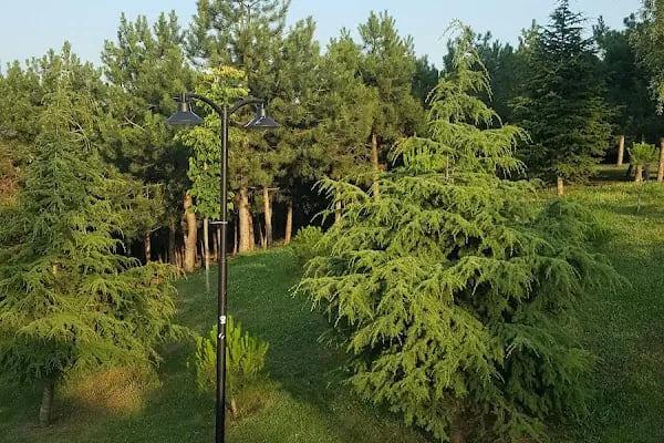Gümüşpala Nejat Uygur Açıkhava Sahnesi - Resim 9