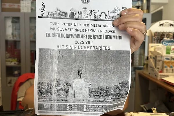Familya veteriner kliniği - Resim 9