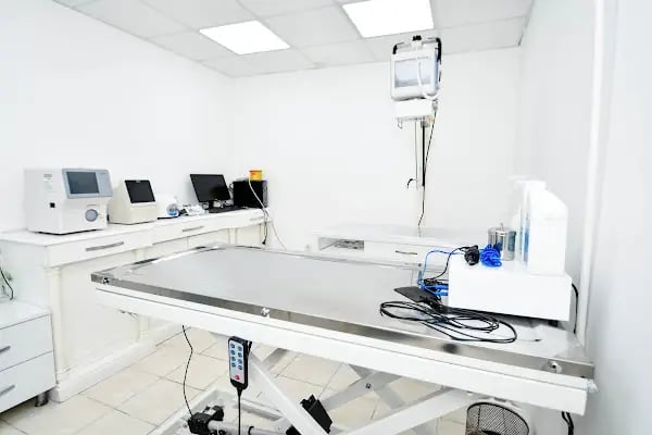 VetMarin Bodrum Veteriner Kliniği - Resim 8