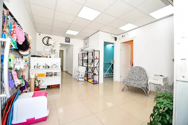 VetMarin Bodrum Veteriner Kliniği - Resim 2