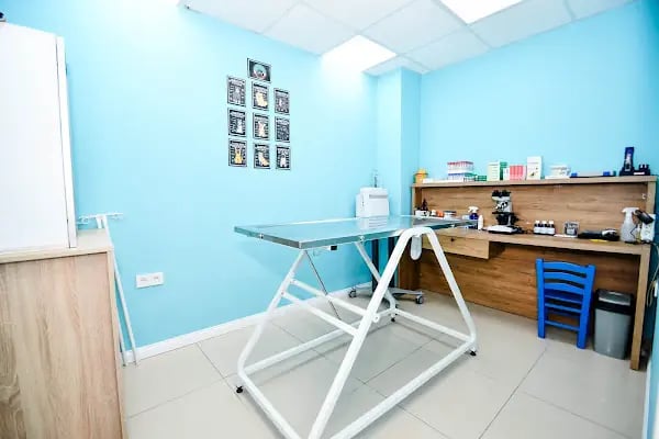 VetMarin Bodrum Veteriner Kliniği - Resim 6