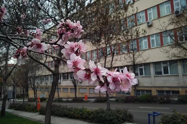 Ankara Üniversitesi İletişim Fakültesi - Resim 14