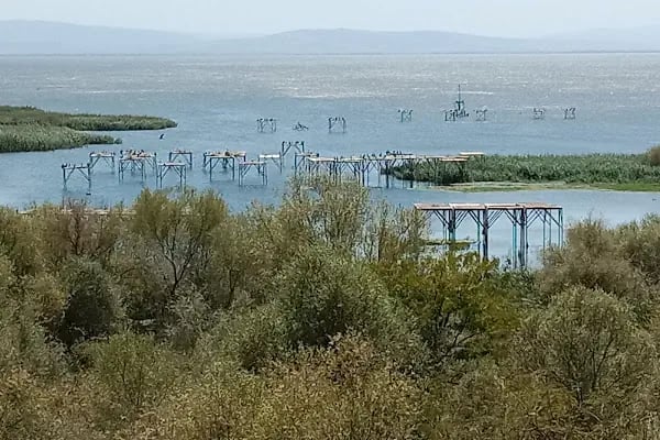 Kuşcenneti Milli Parkı - Resim 8